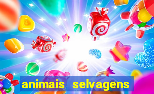 animais selvagens fotos e nomes